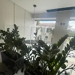 酒店 帕拉迪翁精品酒店 3*